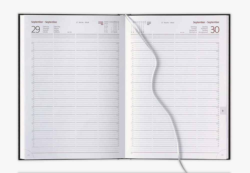 Datoline - Buchkalender DL 8.61