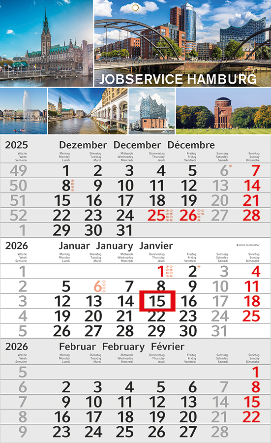 Datoline - 3 Monatsplaner DL 3.10