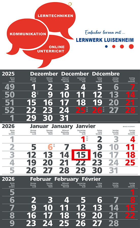 Datoline - 3 Monatsplaner DL 3.15