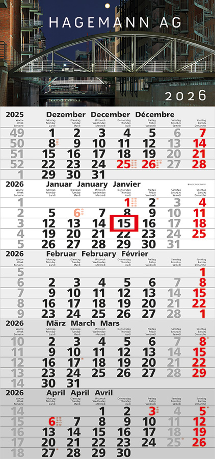 Datoline - 5-Monatsplaner DL 5.10