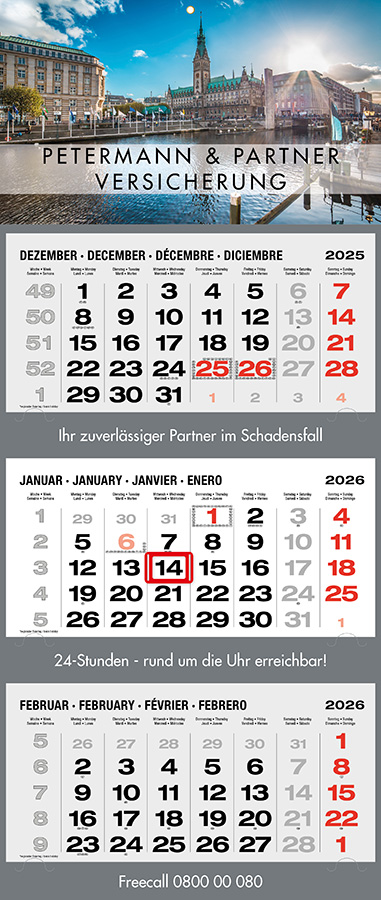 Datoline - 3 Monatsplaner DL 3.1