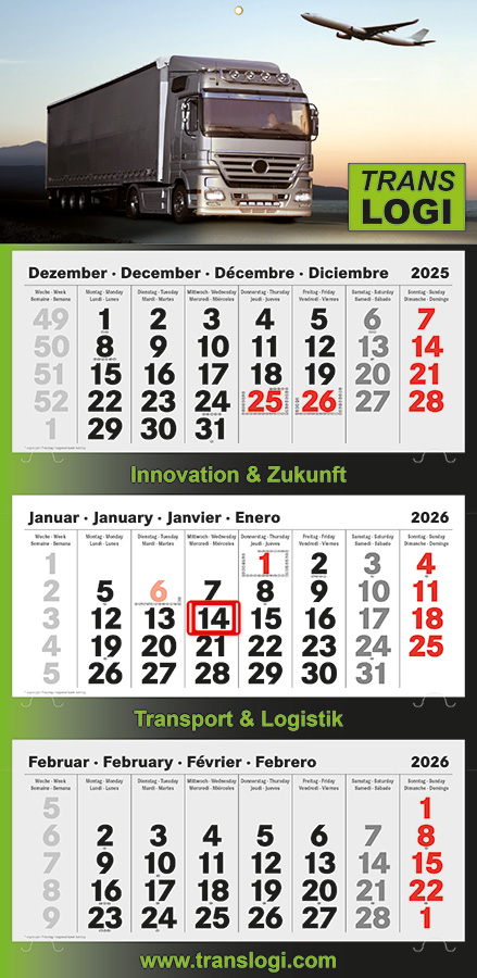 Datoline - 3 Monatsplaner DL 3.3