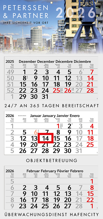 Datoline - 3 Monatsplaner DL 3.30C