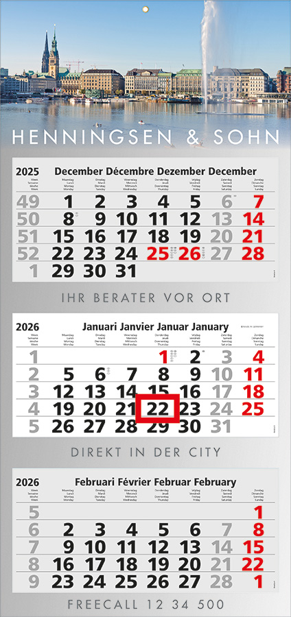 Datoline - 3 Monatsplaner DL 3.30