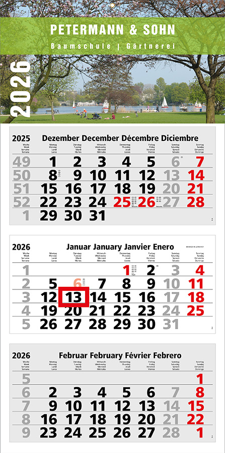 Datoline - 3 Monatsplaner DL 3.33