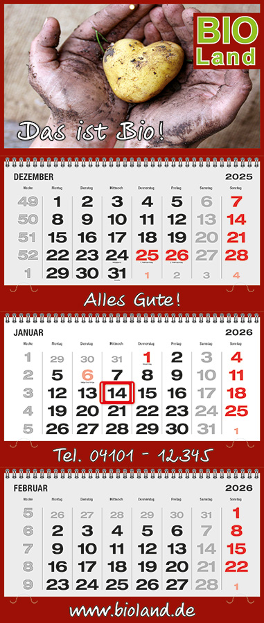 Datoline - 3 Monatsplaner DL 3.4 Wire O