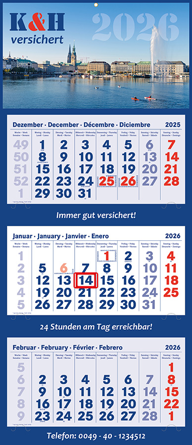 Datoline - 3 Monatsplaner DL 3.5
