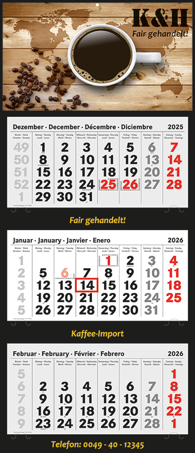 Datoline - 3 Monatsplaner DL 3.81