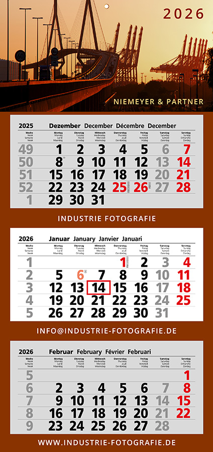Datoline - 5-Monatsplaner DL 5.53