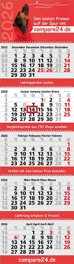 Datoline - 5-Monatsplaner DL 5.56 Wire-O