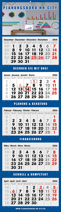 Datoline - 5-Monatsplaner DL 5.81