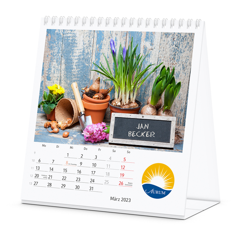 Datoline Namenkalender DL 22.41 Postcard