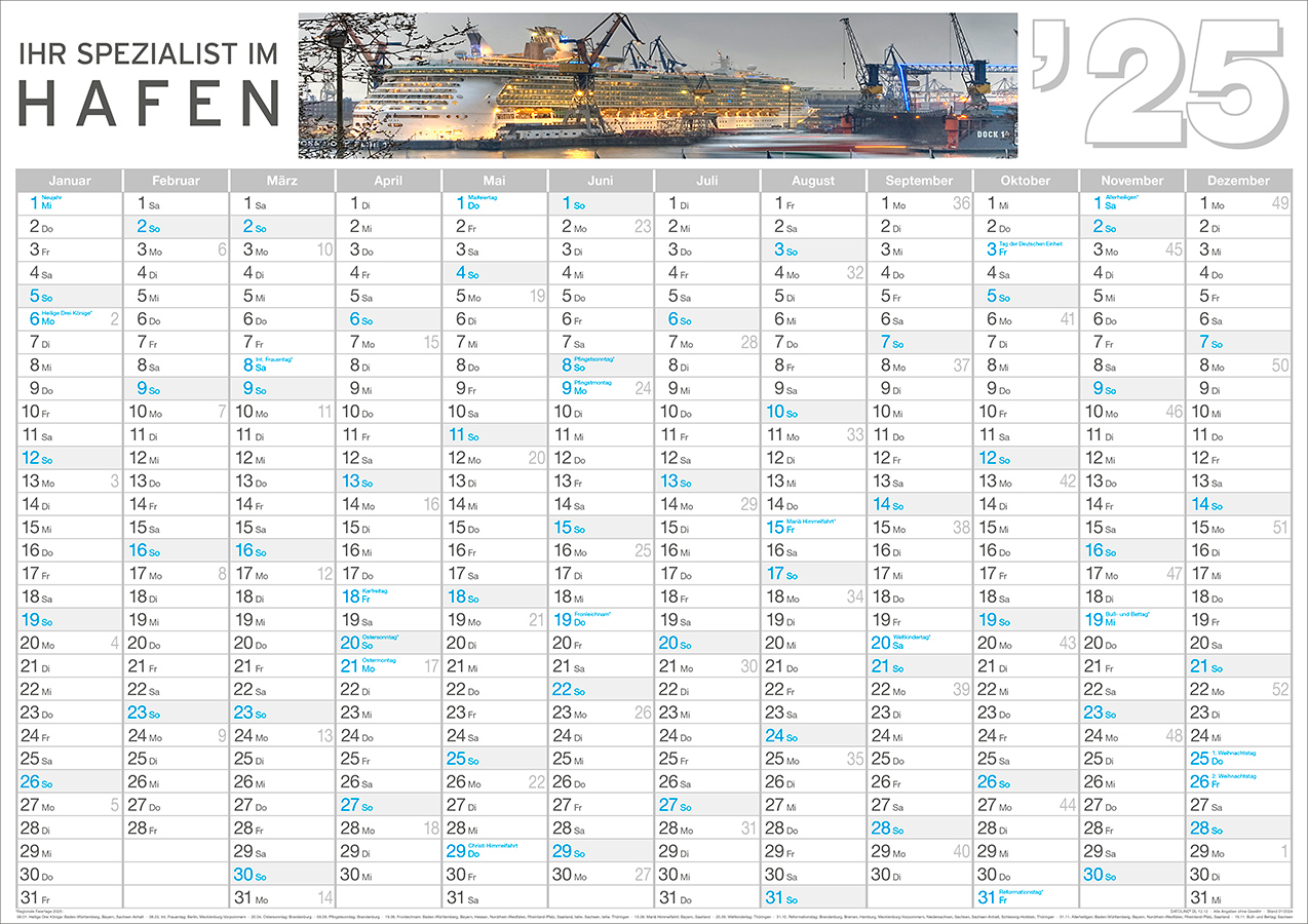 Datoline - 12-Monats-Wandplaner DL 12.12